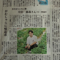 画像240