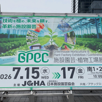 画像247