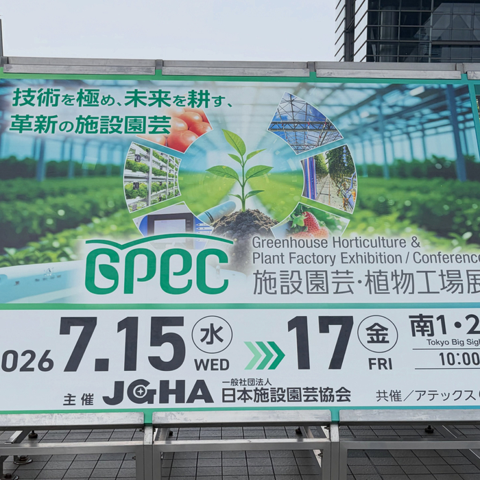 画像247
