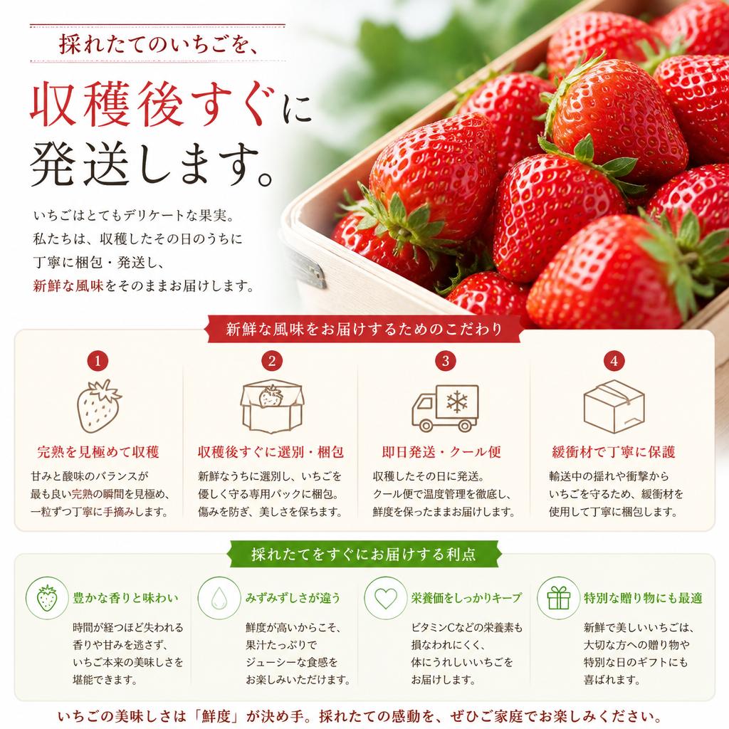 産地直送の新鮮さ