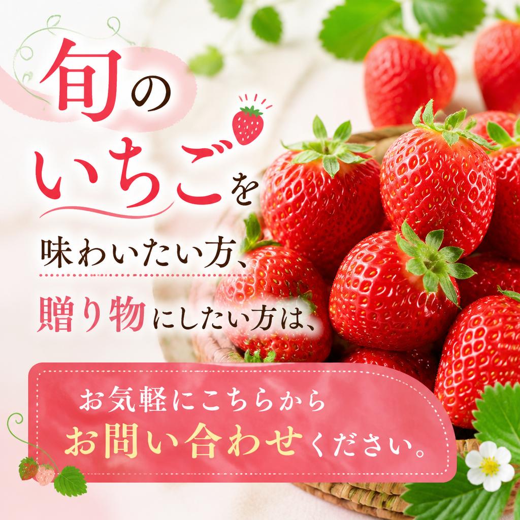 今すぐお問い合わせを！