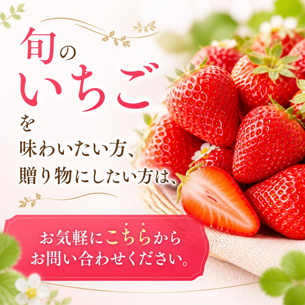 今すぐお問い合わせを！