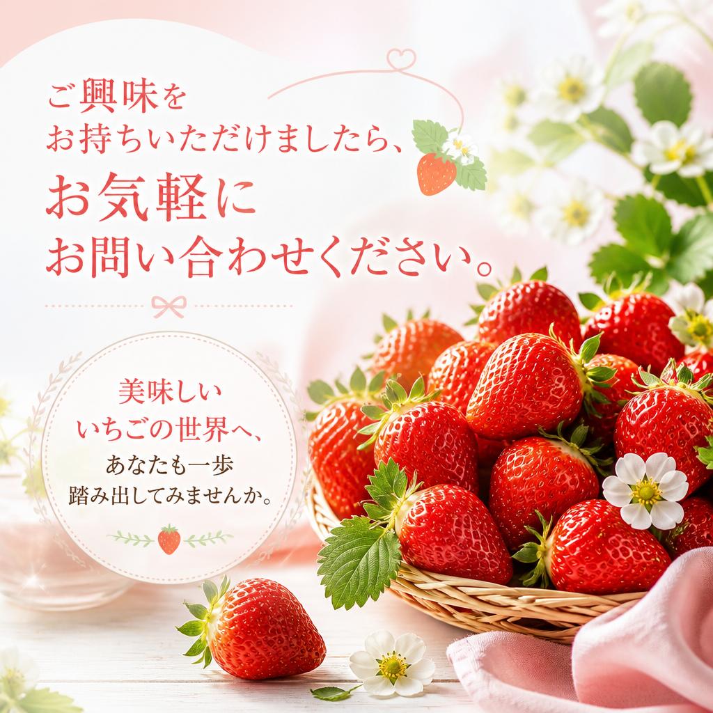 今すぐお問い合わせを！