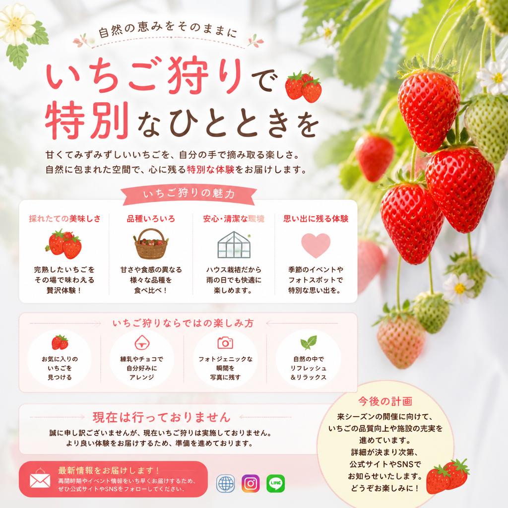 いちご狩り体験