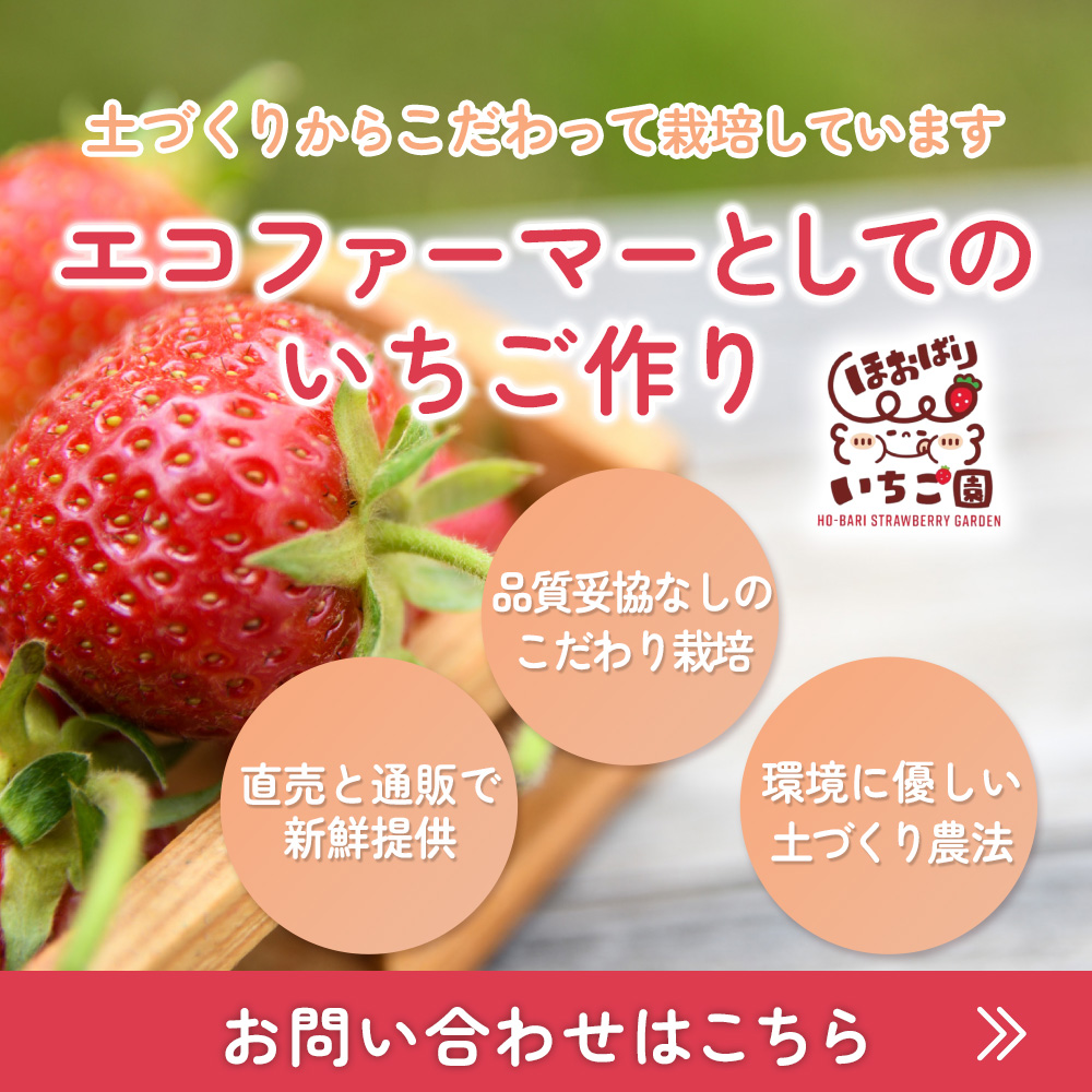 modal_banner